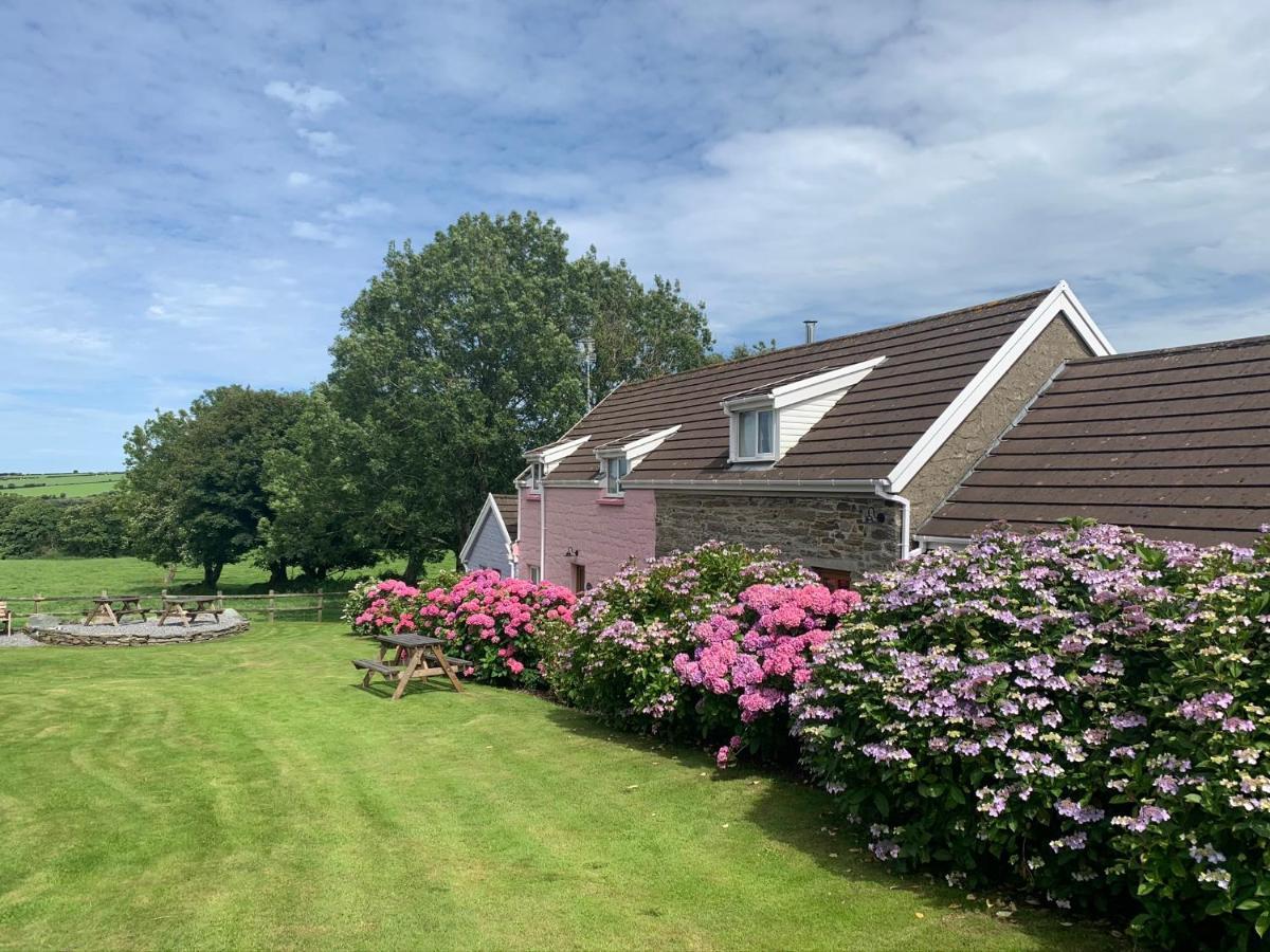 Canllefaes Cottages Cardigan Buitenkant foto