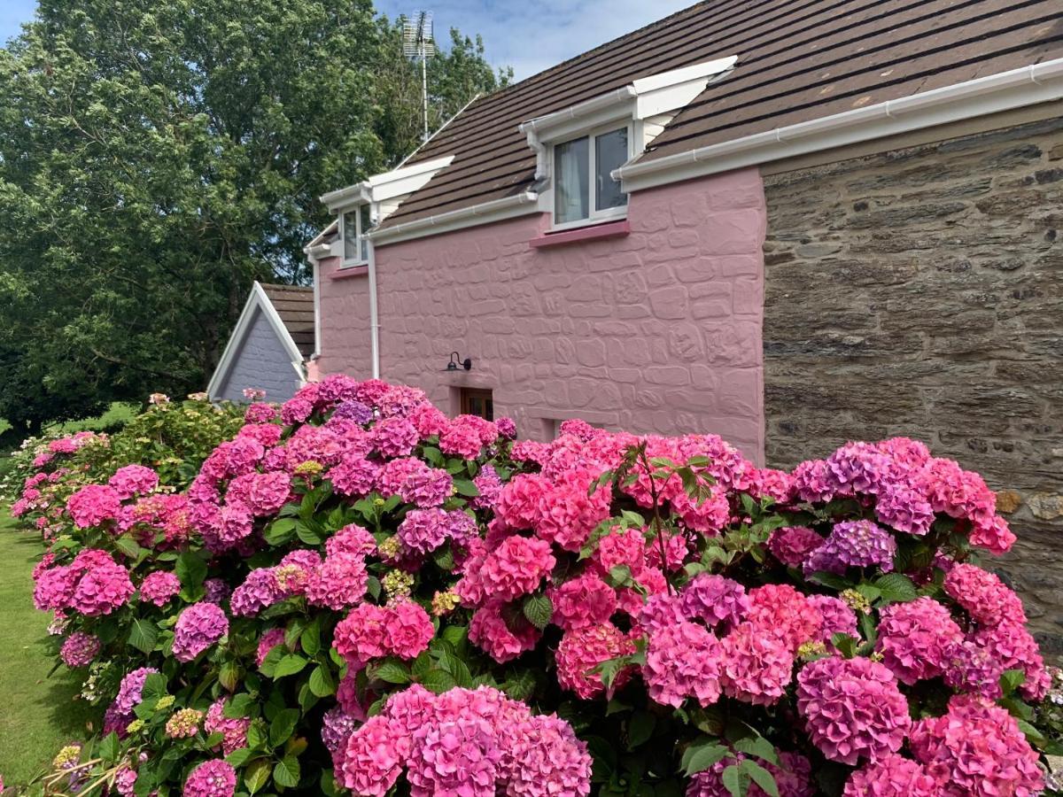 Canllefaes Cottages Cardigan Buitenkant foto